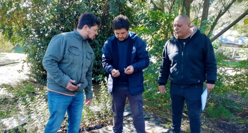 PRODUCCIÓN: TRABAJO CONJUNTO ENTRE TRES LOMAS Y GUAMINI