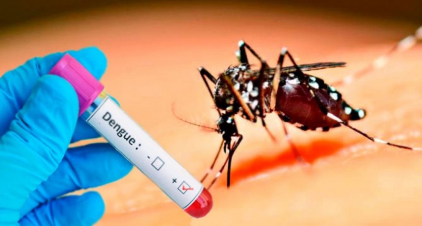 HAY UN CASO DE DENGUE CONFIRMADO EN TRES LOMAS