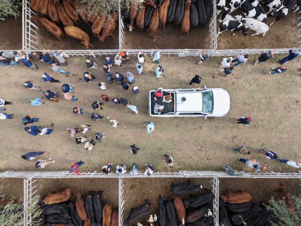 2 d&iacute;a de la Expo Rural Tres Lomas