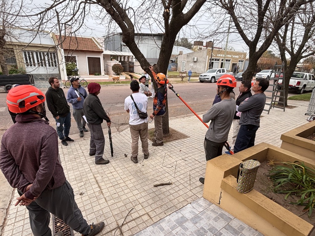 En mayo comienza la temporada de poda: siempre se debe solicitar autorizaci&oacute;n previa