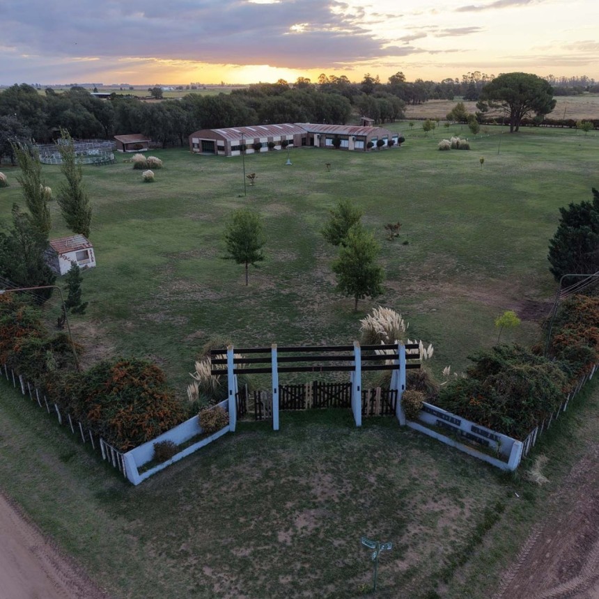 Vuelve la Expo Rural Tres Lomas: el campo y la comunidad se reencuentran este fin de semana