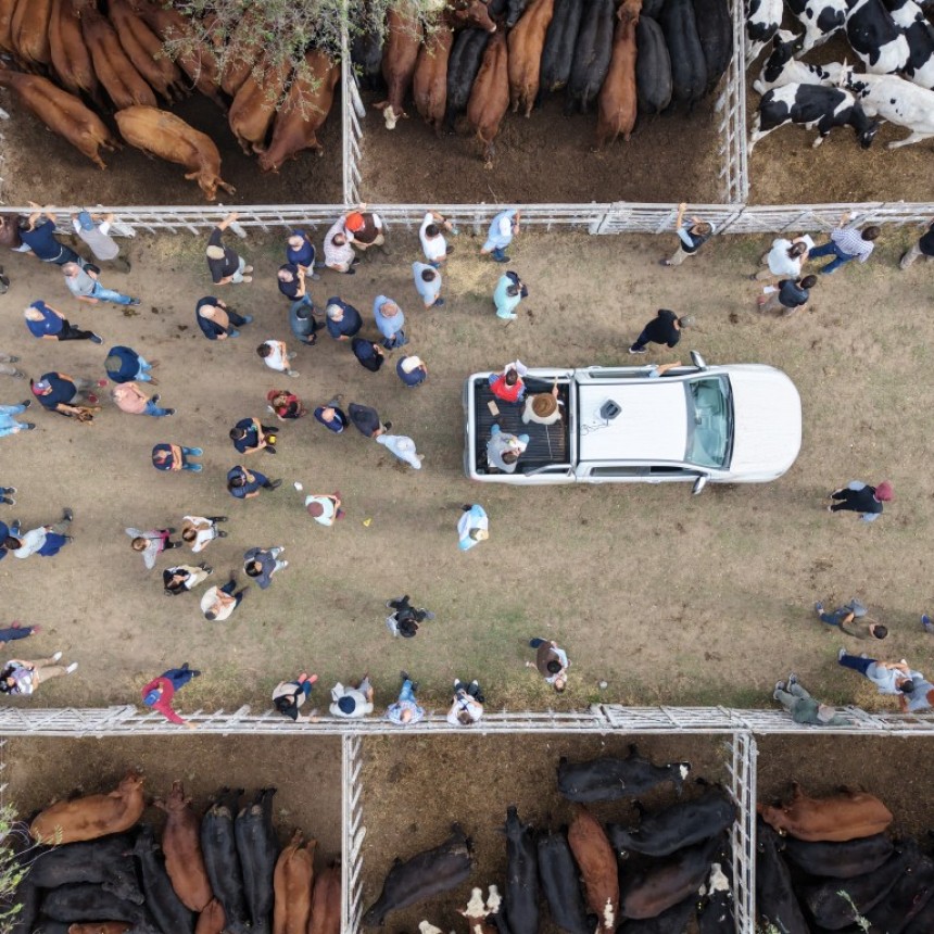 Segundo d&iacute;a de la Expo Rural Tres Lomas