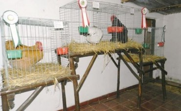 LA EXPO ARROYO VENADO 2016 SE PREPARA PARA ABRIR SUS PUERTAS