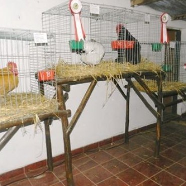 CONTINÚAN LOS PREPARATIVOS PARA LA EXPO ARROYO VENADO 2016 