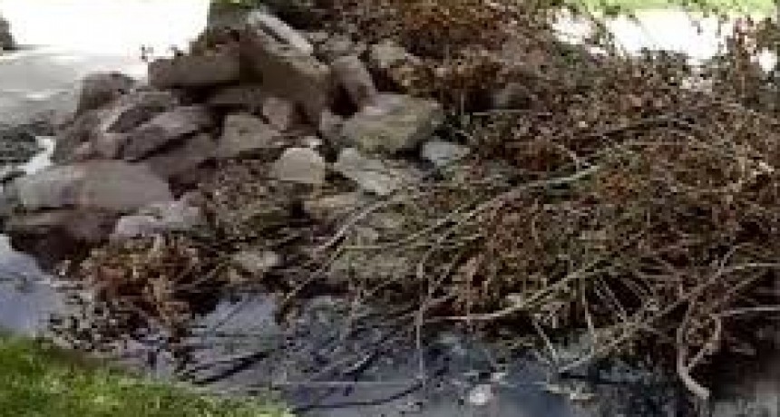 EL MIÉRCOLES 8 DE MAYO NO HABRÁ RECOLECIÓN DE RAMAS Y ESCOMBROS