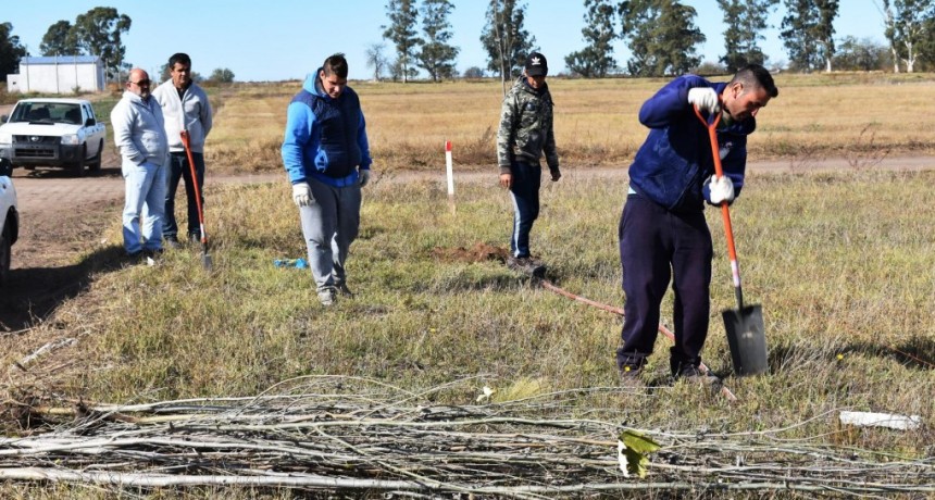 COMENZO A REALIZARSE EL PROYECTO FORESTACION 2019
