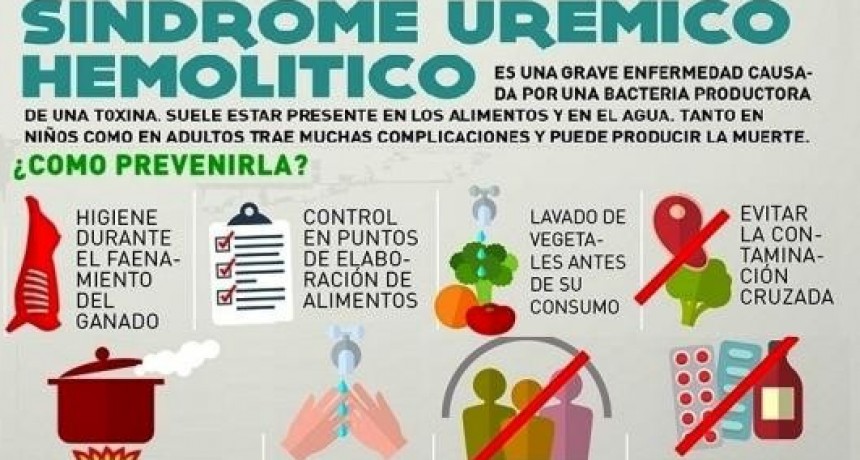 UN CASO DE SINDROME UREMICO HEMOLITICO EN PELLEGRINI