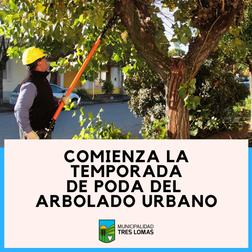 COMIENZA LA TEMPORADA DE PODA DEL ARBOLADO URBANO