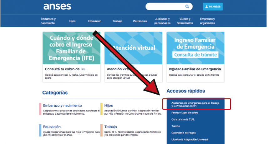 LA ANSES HABILITA CONSULTA ONLINE PARA ATP