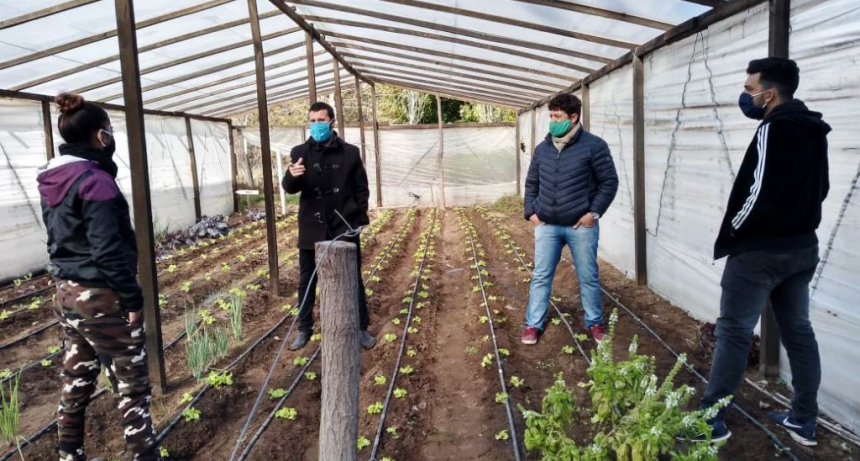 LA UNIDAD PRODUCTIVA DE INGENIERO THOMPSON CONTINÚA TRABAJANDO