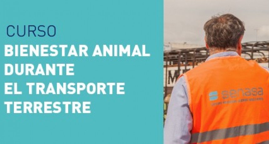 SENASA: CAPACITACIÓN EN BIENESTAR ANIMAL DURANTE EL TRANSPORTE TERRESTRE DE GANADO