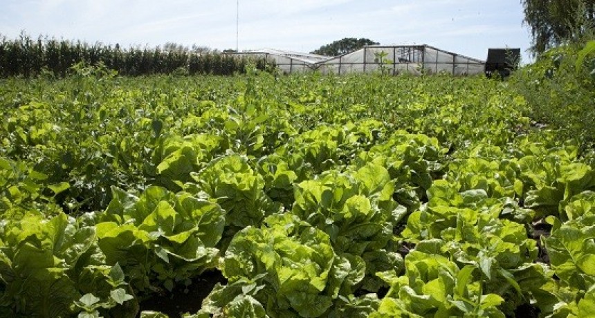 RENSPA: ACTUALIZACIÓN AUTOMÁTICA DE DATOS PARA INSCRIPTOS DE LA AGRICULTURA FAMILIAR.