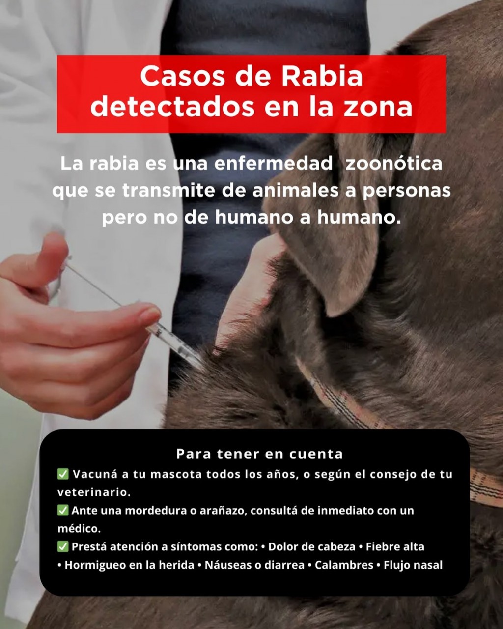 RABIA: UNA ENFERMEDAD QUE SE PUEDE PREVENIR