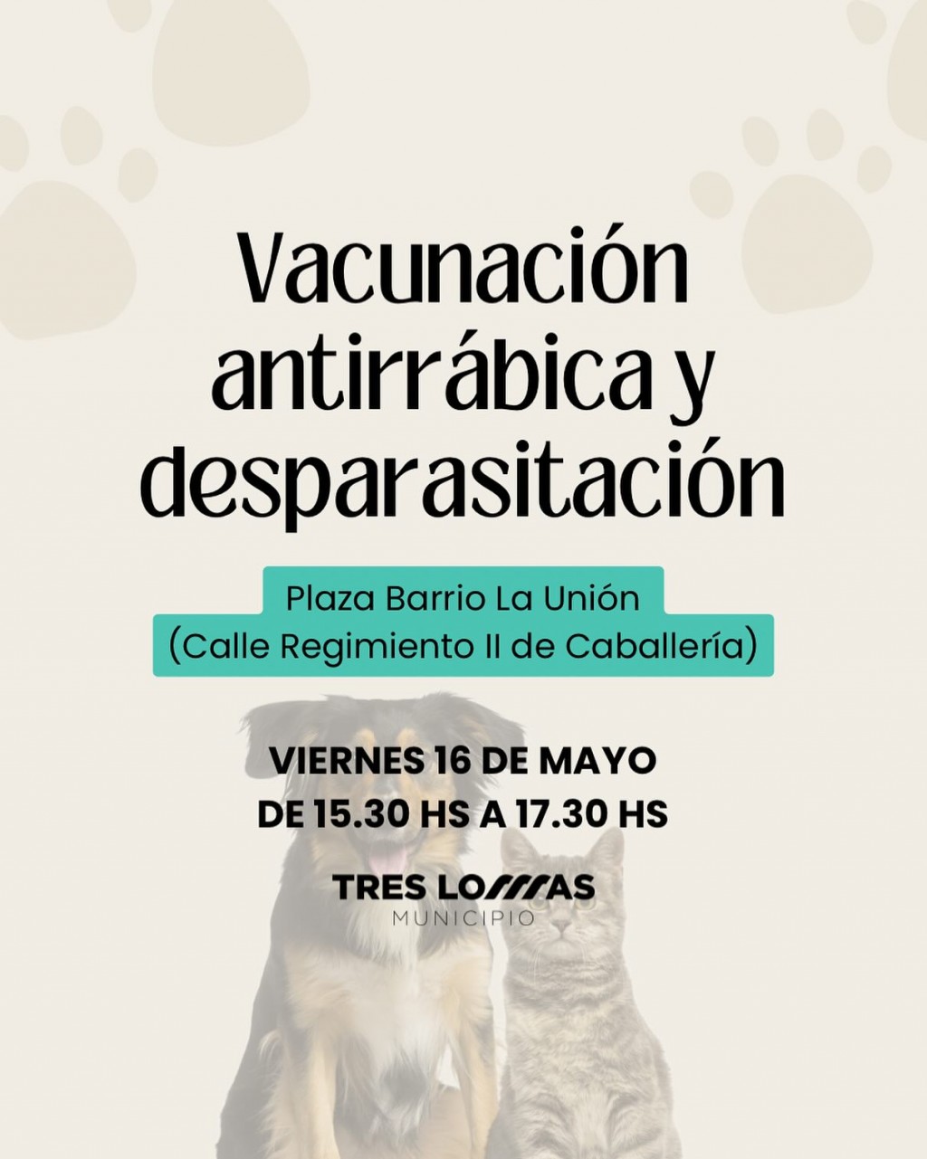 VACUNACIÓN ANTIRRÁBICA Y DESPARASITACIÓN DE PERROS Y GATOS