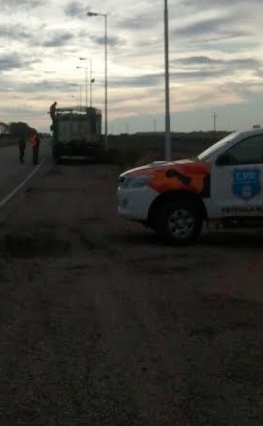 POLICIAS RURALES DE GUAMINI, PELLEGRINI Y TRES LOMAS INTERDICTARON 111 ANIMALES EN EL CRUCE DE RUTAS 33 Y 85