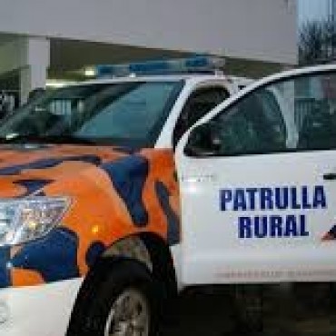EL COMANDO DE PREVENCION RURAL INTERDICTO ANIMALES VACUNOS Y EQUINOS Y SECUESTRO UN AUTOMOVIL.