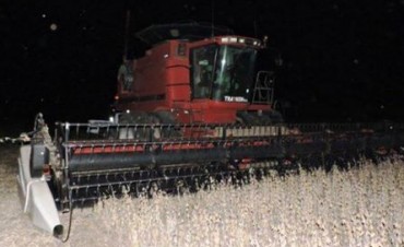 MURIO UN HOMBRE DE PELLEGRINI AL SER ARROLLADO POR UNA COSECHADORA