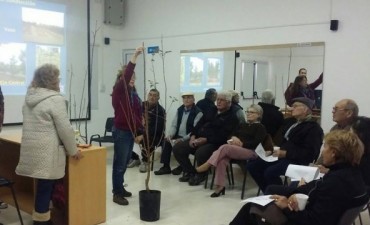 NUEVO TALLER DE HUERTA Y ALIMENTACIÓN