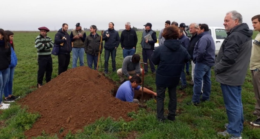 JORNADA TECNICA ENTRE GRUPO DE CAMBIO RURAL Y EL INTA EN TRES LOMAS