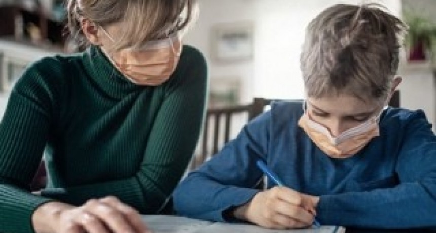 El Senado debate en comisión el proyecto de Ley sobre Educación a Distancia