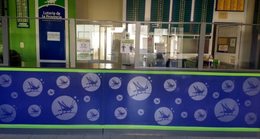 MARYCEL ALLIVELLATORE: 