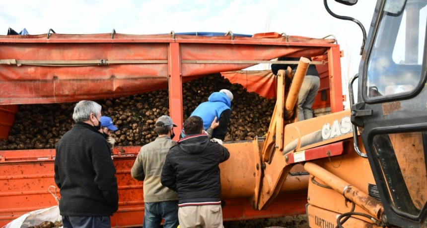 POR GESTIONES DE DESARROLLO SOCIAL, LA EMPRESA McCain DONÓ 30.000 KG DE PAPAS