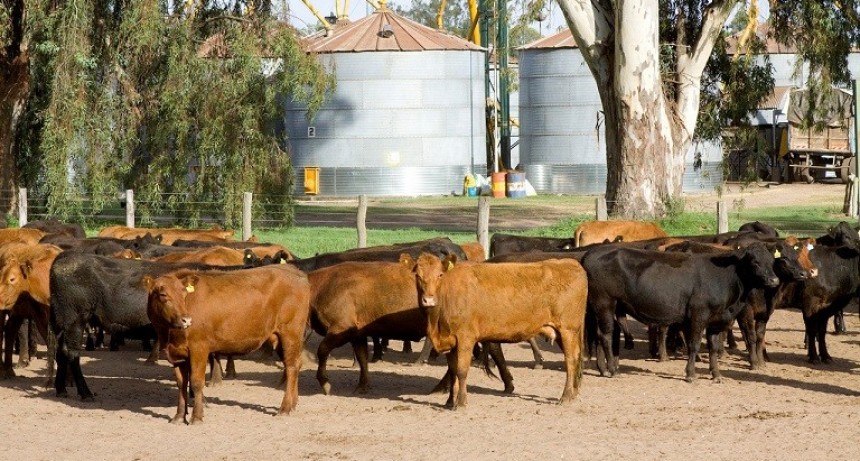 EL RENSPA SE PUEDE OBTENER 100% POR AUTOGESTIÓN