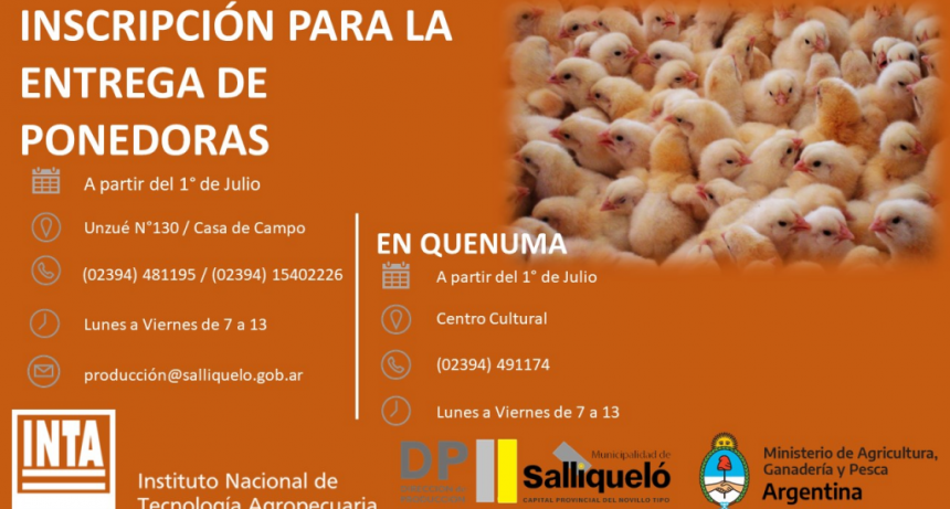 INSCRIPCIÓN PARA LA ENTREGA DE PONEDORAS