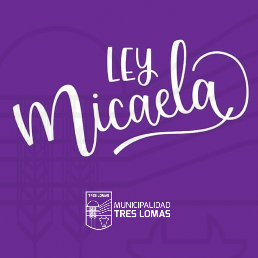 TRES LOMAS SE CAPACITA EN LA “LEY MICAELA”