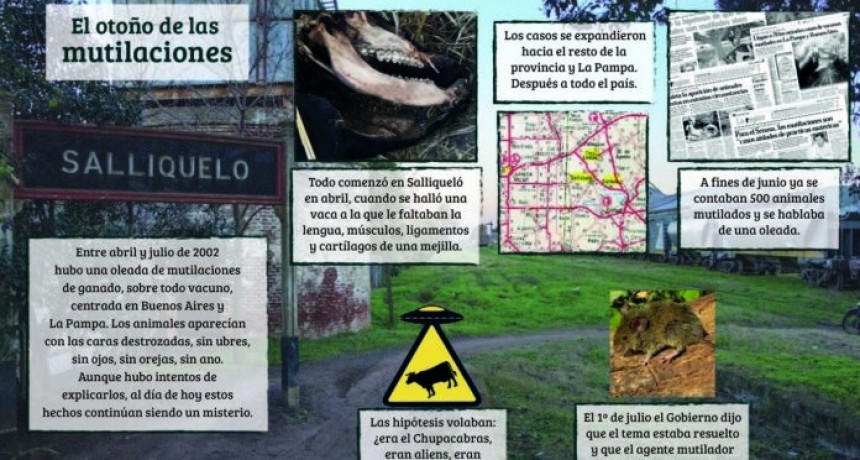 EL MISTERIOSO FENÓMENO DE LAS VACAS MUTILADAS QUE AZOTÓ LA PROVINCIA EN EL OTOÑO DE 2002