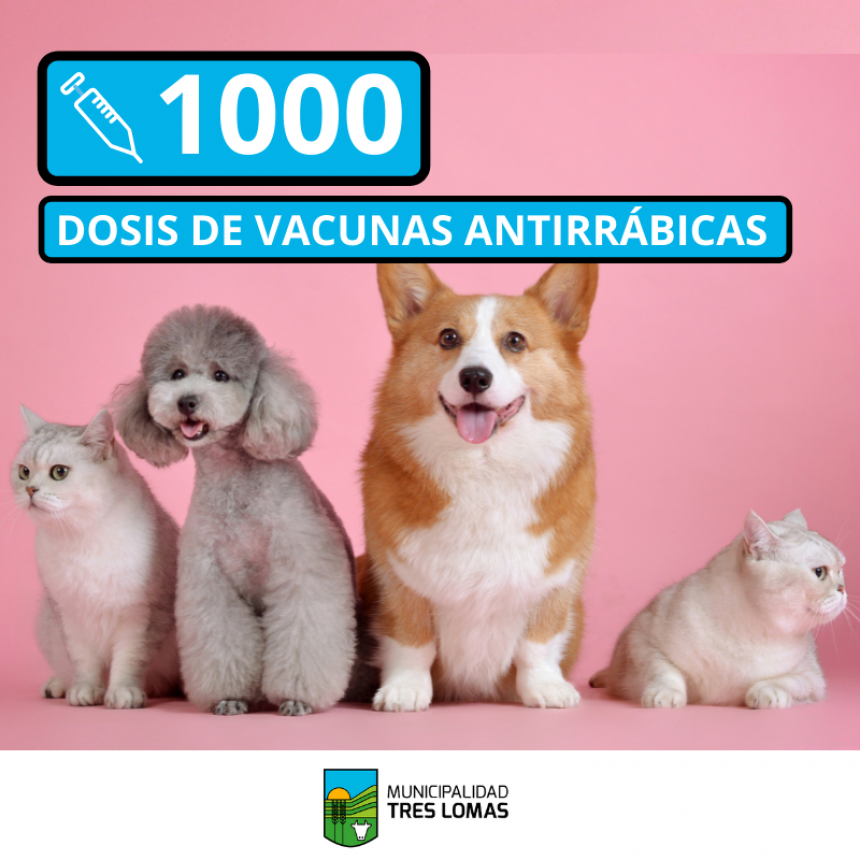 TRES LOMAS RECIBIÓ 1.000 DOSIS DE VACUNAS ANTIRRÁBICAS