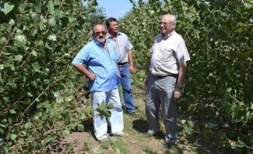 VIVERO MUNICIPAL - SE ENTREGARON MAS DE 200 ESTACAS 