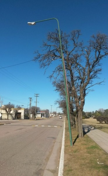 PIDEN QUE SE VERIFIQUE EL ESTADO DE LAS COLUMNAS DE ALUMBRADO