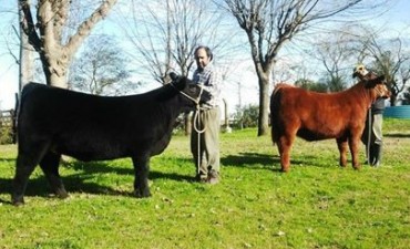 LOS ANIMALES DE LA CABAÑA ENE MAITEA LLEGARON A PALERMO