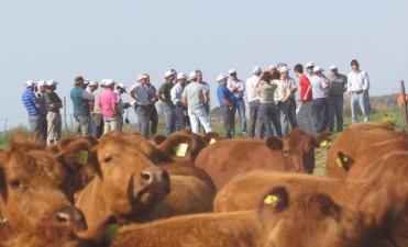 VUELVE LA GIRA GANADERA A TRES LOMAS Y LA REGION