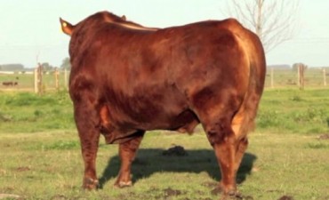 LA CABAÑA DE LEONARDO HERNANDEZ LOGRO IMPORTANTES PREMIOS EN PALERMO