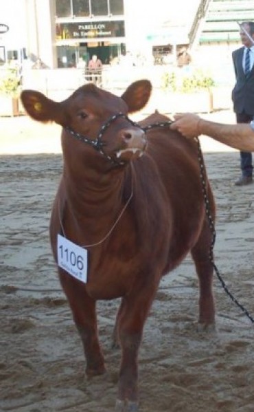 LEONARDO HERNANDEZ: 'ESTAMOS MUY CONFORMES'