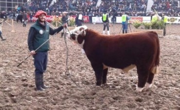 OTRO EXITO TRESLOMENSE EN PALERMO: PREMIOS PARA CABAÑA LA JUANITA