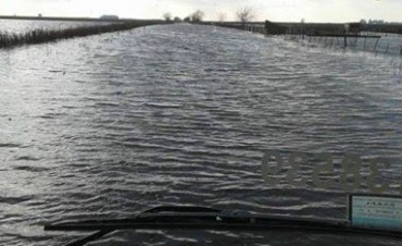 NESTOR ALVAREZ: 'SE ESTA VIVIENDO UNA SITUACION DE EMERGENCIA'