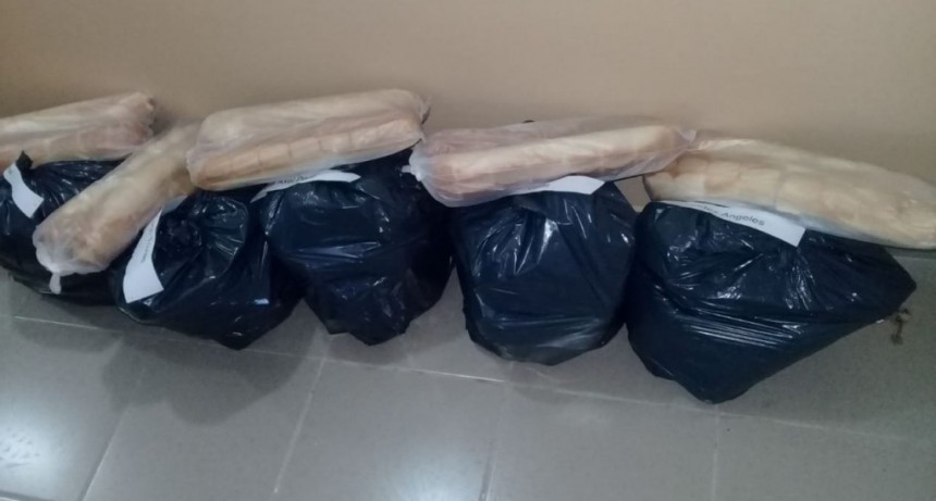 DESDE EL CONSEJO ESCOLAR ENTREGAN ALIMENTOS A 800 FAMILIAS DEL DISTRITO