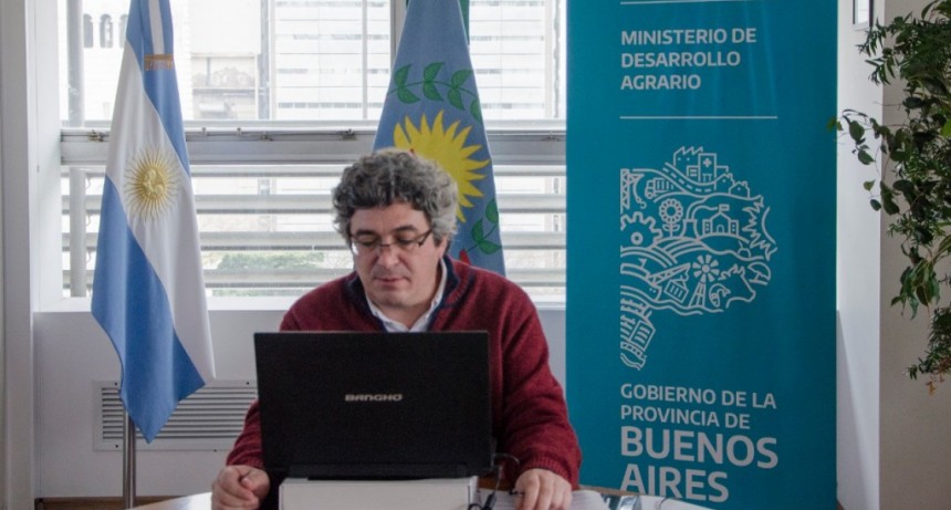RÉCORD DE LAS EXPORTACIONES DE MIEL EN LOS PRIMEROS MESES DEL AÑO