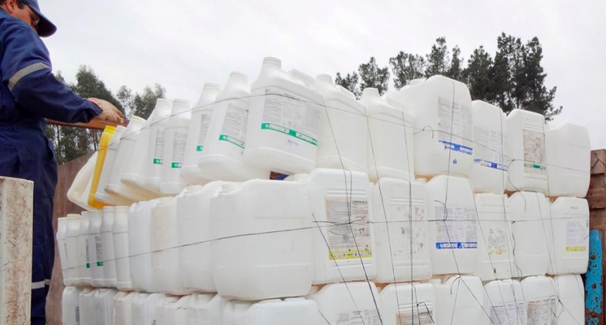 CAMPAÑA DE RECOLECCIÓN DE ENVASES DE FITOSANITARIOS