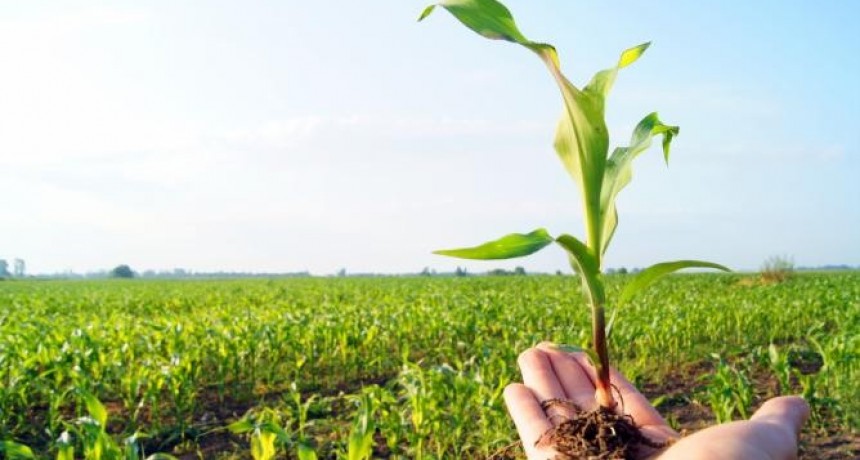 CONVOCATORIA PARA LA MUESTRA “AGRICULTORES TRESLOMENSES”