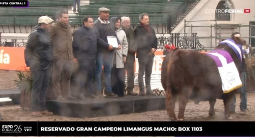 Premio en Palermo para caba&ntilde;a treslomense: Reservado Campe&oacute;n Macho Limangus
