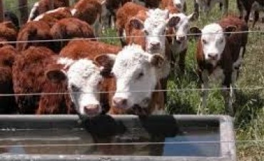 Hoy jueves - JORNADA DE CAPACITACION GANADERA 