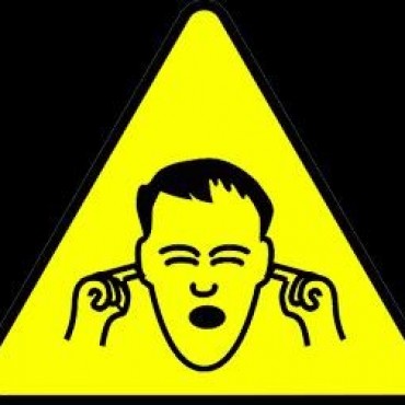 RUIDO EN CIUDADES DE LA REGION: 'CAYO PIEDRA EN EL PATIO Y EN EL TECHO'