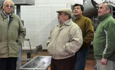 BUSCAN OPTIMIZAR EL CONSUMO DE ENERGIA DE LA PLANTA FRIGORIFICA LOCAL