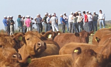 LA GIRA GANADERA LLEGA A INGENIERO THOMPSON