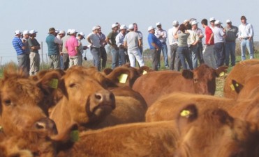LA GIRA GANADERA PASA POR INGENIERO THOMPSON