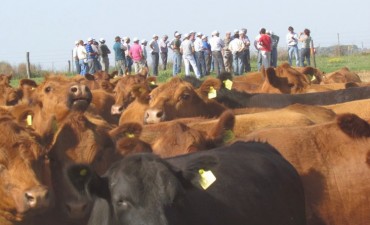 LA GIRA GANADERA DEL INTA LLEGA A SALLIQUELO